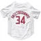 White Milwaukee Bucks Giannis Antetokounmpo   Red Dog & Cat Pet Jersey